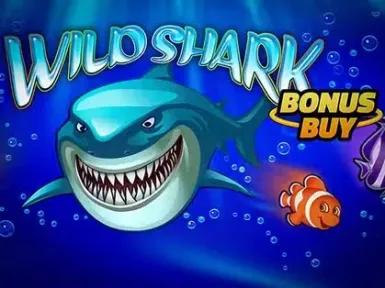 Duelbits Casino screenshot